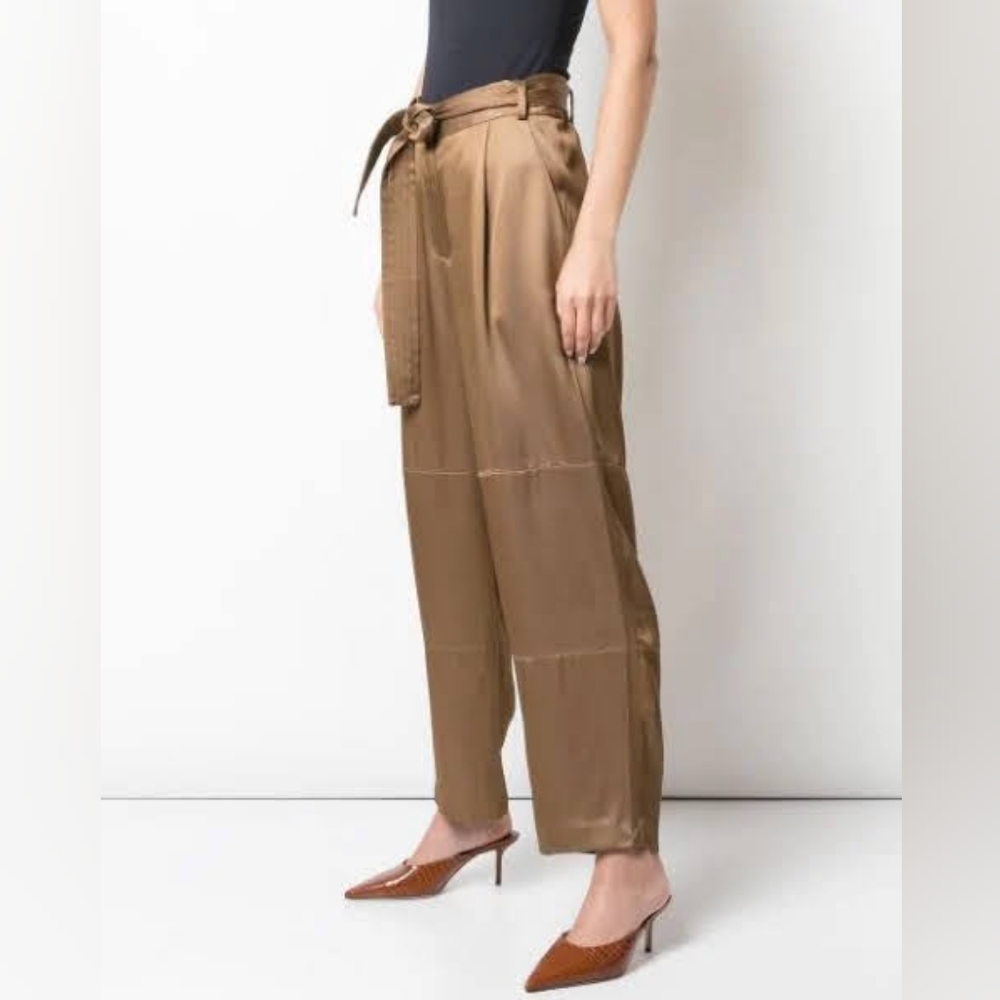 NWT Sally Lapointe pants